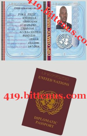 My Diplomatic Passport-1